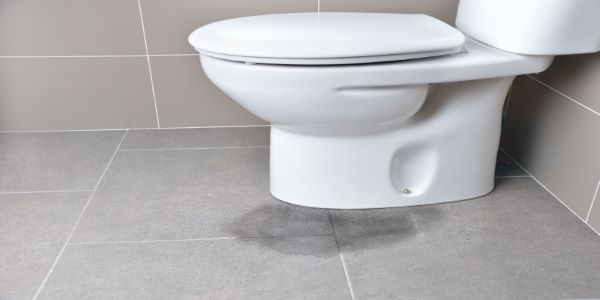 Toilet Leaking at The Base?