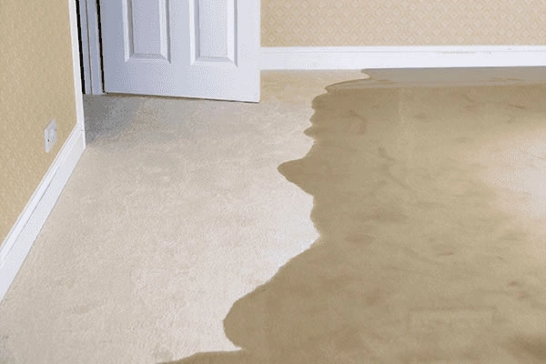 Signs of a Slab Leak
