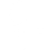 Toilet Installation